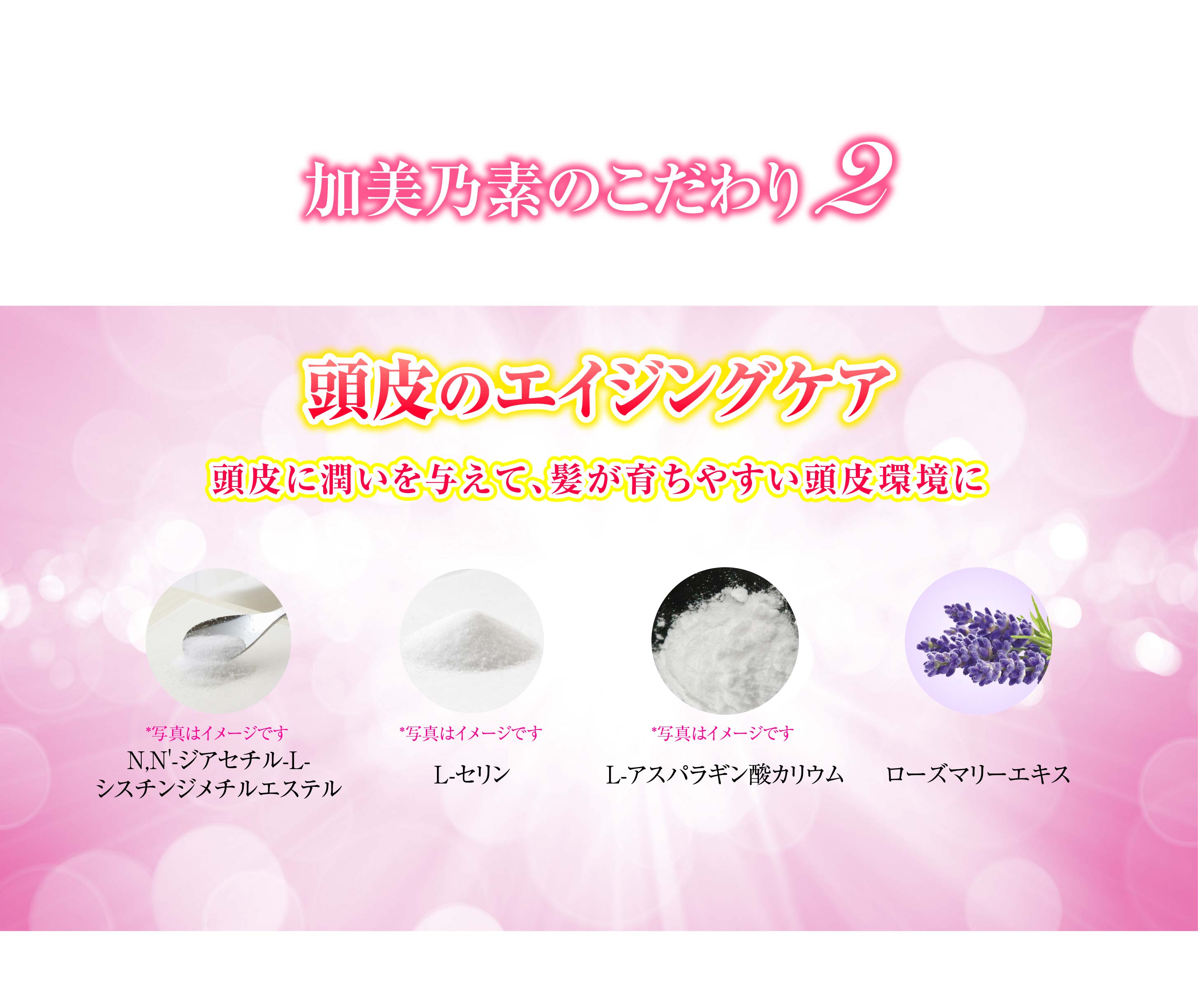 薬用レディース加美乃素hq 製品一覧 株式会社 加美乃素本舗