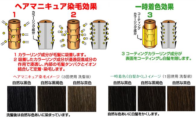 市場 3個以上ご購入で使える5％OFFクーポン配布中 まで 10